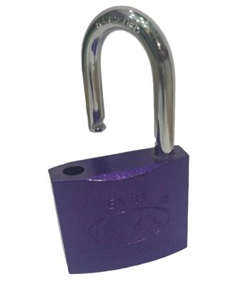 China Apartment/Home/GYM Enge Iron Padlock Jail Door Lock Manufacturers Gym Padlock for sale