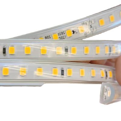 China Warehouse OEM IP65 8mm Outdoor Waterproof Single Line PCB 120leds/m AC220V 2835 Wireless Camber-Transparent Strip Led Strip Light for sale