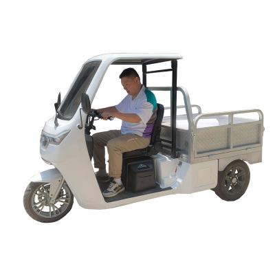 China Battery Operated Cargo Maintencance Free Electric Tricycle for sale