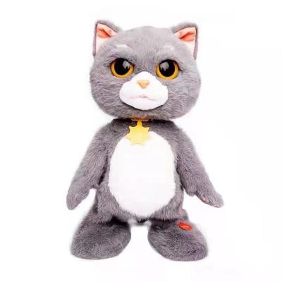 China Plush Talk Toy Anime Plush Toys for sale