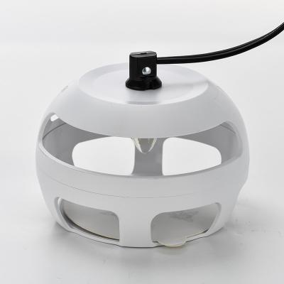 China Home Safe Killer Lamp Sticky Flea Trap Solid State No Fragrance for Market for sale