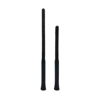 China Car Roof DAB+ Antenna Whip Shaped Long And Short Antenna FM Car Radio Digital Antenna 2.35*0.16CM for sale