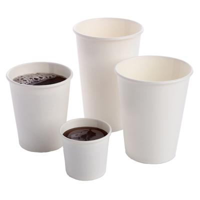 China Disposable Single Wall Paper Cups Disposable White Color Different Sizes With Lids For Coffee And Other Drinks for sale