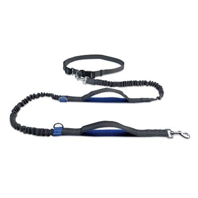 China Double Handle Dog Lead Padded Reflective Nylon Pet Padded Handles Double Working Nylon Dog Leash Portable Reflective Telescopic Rollover Protection for sale