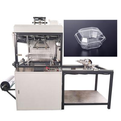 China Plastic Building Material Shops Meat Fruit Tray Container Vacuum Forming Machine Thermoforming Machine for sale