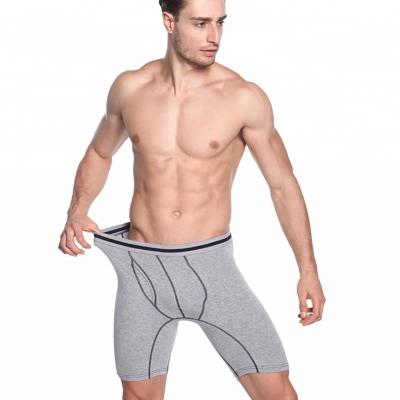 China Comfortable Men's Underwear Antibacterial High Quality Cotton Long Underwear For Fitness Men's Underwear for sale