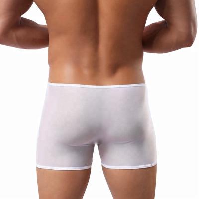 China A antibacterial chip transparent men's sexy underwear briefs for men gay boys in briefs underwear white sex for sale