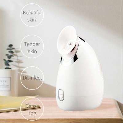 China Portable Facial Steamer Facial Steamer Aesthetics Sprayer Professional Nano Moisturizer Facial Treatment China for sale