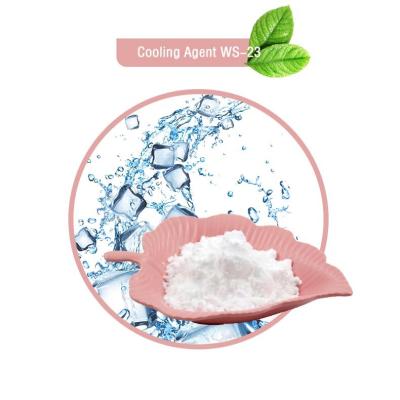 Chine Réfrigérant Powder WS-5 Koolada 68489-14-5 pour la nourriture et l'usage cosmétique à vendre