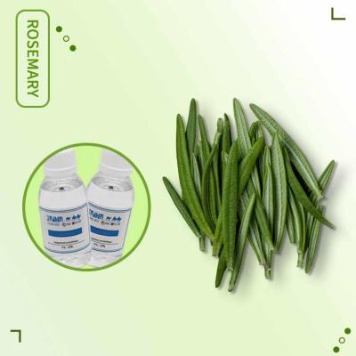 Cina Liquido CAS 220-334-2 di Herb Rosemary Mint Flavors For E del concentrato in vendita