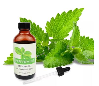 China ODM 100% Natural Peppermint Essential Oil For Skin Care for sale