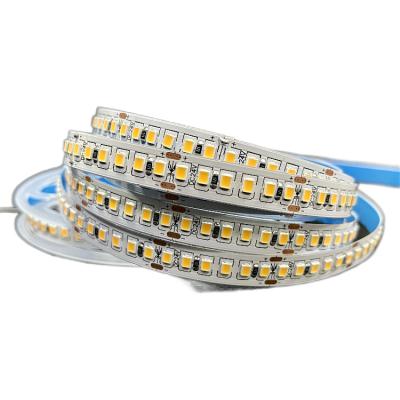 China LANDSCAPE Waterproof 180 LED DC 12/24V SMD 2835 Flexible Led Strip Light With UK Plug for sale