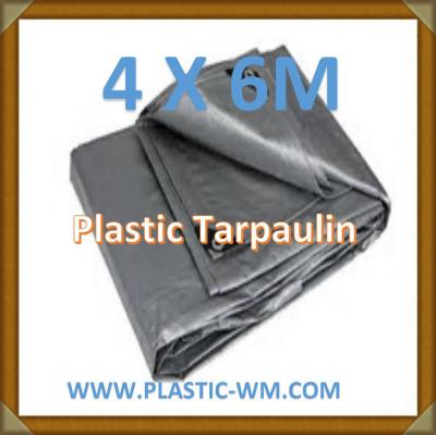 China 4x5M &4X6M Sheet  Silver Color Waterproof  Plastic Tarpaulin  Poly Tarp for sale