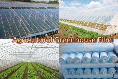 China 6Mil (150Micron）Greenhouse Plastic Sheeting  PE Film Replacement Covering for sale