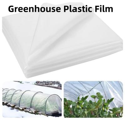 Chine Feuille de plastique agricole de serre chaude de film de film agricole de serre chaude à vendre