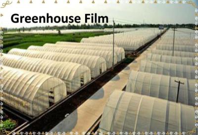 China Película agrícola agrícola de la película plástica del invernadero de la película del invernadero en venta