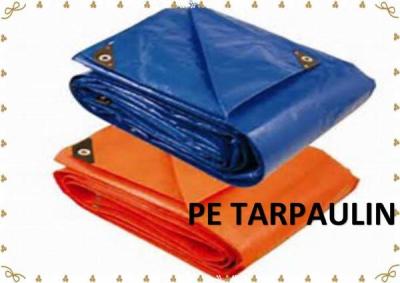 China 100%Waterproof Assorted Size HDPE Tarpaulin PE Tarpaulin Plastic Tarpaulin for sale