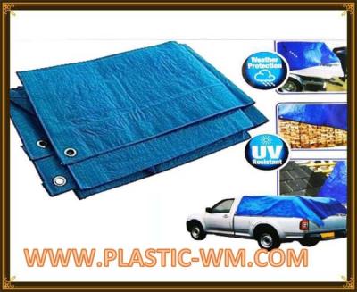 China Pe Material   Tarpaulin/PE Tarps Fabric/Canvas Sheet for Outerdoor Use for sale