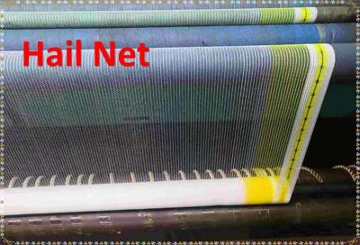 China 40g/m2-80g/m2 Anti Hail Net For Middle East Market for sale