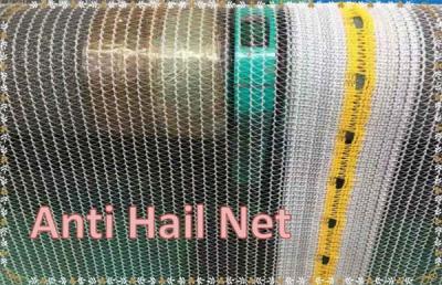 Chine Fabrication paragrêle de /Hail de grêle de filet net de protection à vendre