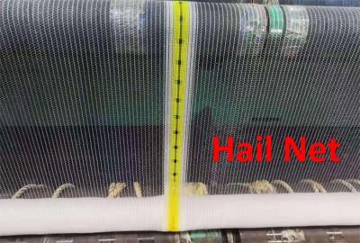 China 100% New Virgin HDPE Agricultural Anti Hail Net for sale