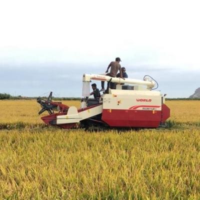 China Chinese wheat/barley/rye/oat/soybean/rape flower rice combine harvester factory price for sale in Ghana for sale