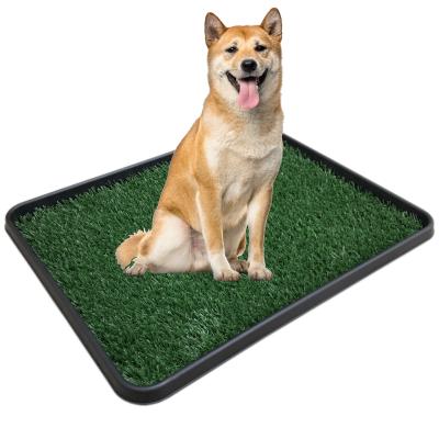 China New Design 2pcs Dog Cat Pee Grass Mat Puppy Pet Training Pads Dog Potty Trainer Viable Hot Selling Training Toilet Amazon for sale