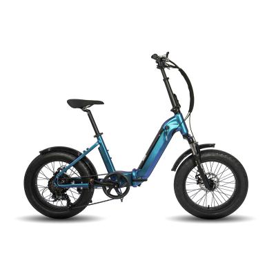 China Aluminum alloy TEENESS 20 inch fat ebike electric folding bike, electric snow bike folding e bike for sale