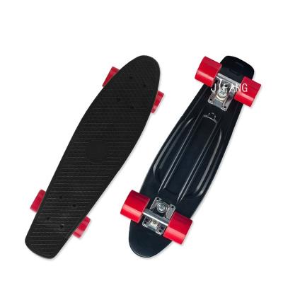 China Youngsters Mini 22 inch complete blank deck plastic fish board cruiser skateboard with big wheel skateboard for sale