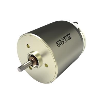 China Top Quality Proper Price Dc Carbon Brush Motor 12v Drone Motor Totally Included for sale