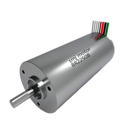 China Long Life 22mm High Speed ​​Magnets 24v Totally Enclosed Brushless DC Motor With Encoder for sale