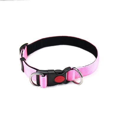 China Wholesale Soft Neoprene Padded Padded Multi-Colors Adjustable Nylon Dog Collar for sale