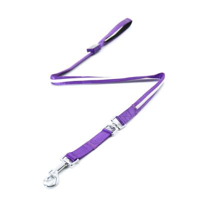 China New Arrival DETACHED Pet Leashes Night Safety Lightweight Nylon Dog Leash With LED for sale