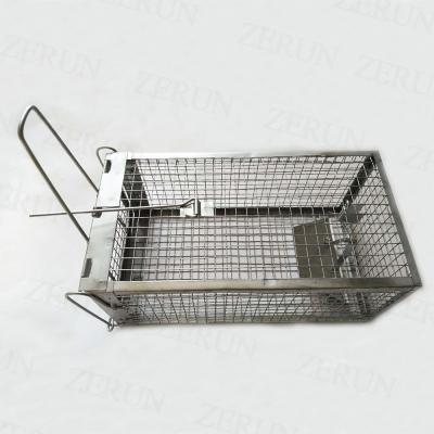 China Luxury Breathable Rat Live Animal Cage Trap - Humane for Rat Mouse Hamster Mole Weasel Gopher Chipmunk Squirrels and More Rodents for sale