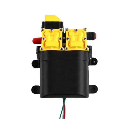 China Irrigation and Agriculture Dual Valve 12v DC Diaphragm Pumps Electric Outlet Mark Diaphragm Hydraulic For Water Pump for sale