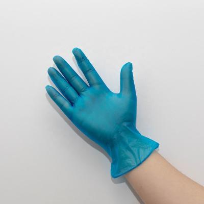 China Cleaning Hot sale vinyl glove powder free cleaning glove for sale