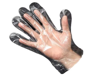 China Disposable Disposable plastic transparent pe gloves cheap glove for sale