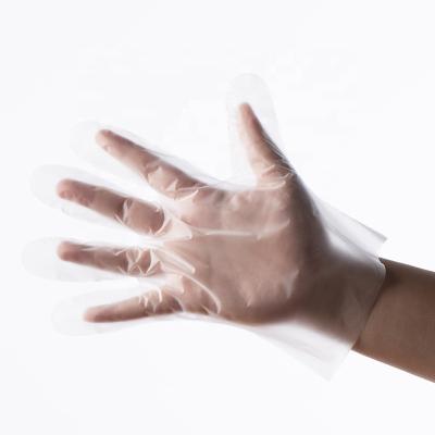 China Cleaning Disposable TPE glove for food handling dishwashing house clean food grade for sale