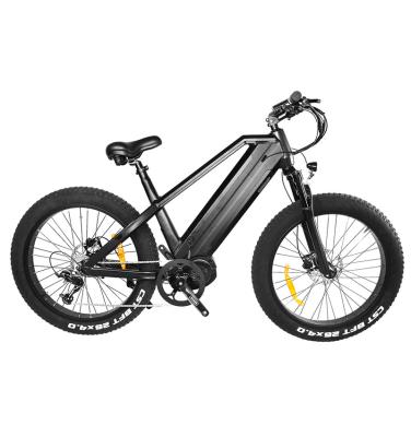 China Ebike 48V 1000W Double Battery Fat Tire Electric Bike Mountain Bike Electric Dual Motor Mid Drive For Sale for sale