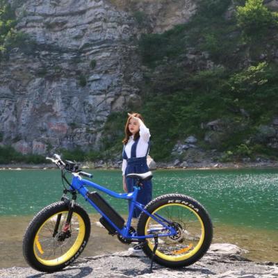 China Fat Tire Electric Bike Fat Tire Ebike Manufacturer Ebike 48V 500W 8Fun Chinese Hub Motor for sale