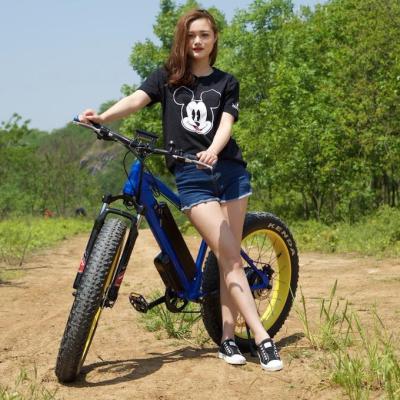 China Low price 1000w 1200w big power fat tire snow ebike/beach cruiser electric bike/electric bike for sale