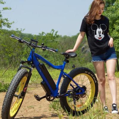 China Fat tire ebike snow fast speed electric fat bike 1000W for sale