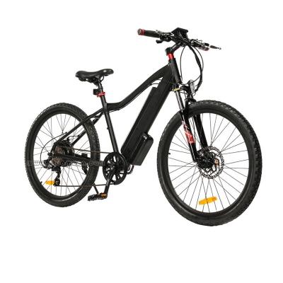 China 2019 New Battery Aluminum Alloy Power Electric Bike Green Energy Electric Bike for sale