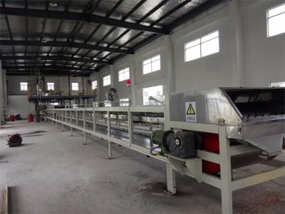 China Belt Pastillation Process For Making Glyceryl Abietate Pastilles With High Speed for sale