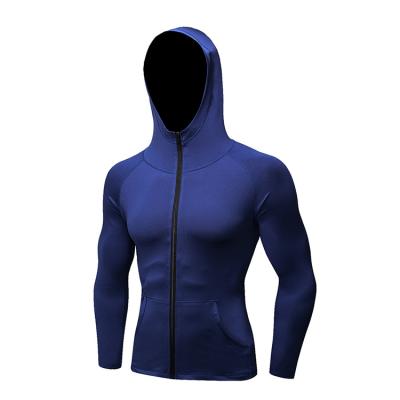 China Men'S Autumn And Winter Sports Fitness Long Sleeve Zipper Coat Breathable Running Casual Quick Dry Top for sale