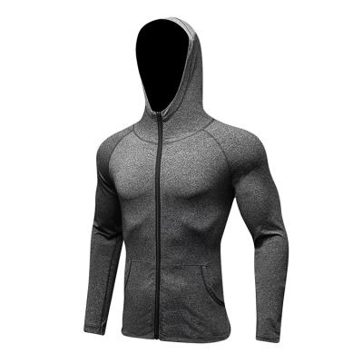 China Good Quality Breathable Men Workout Best Selling Front Zipper Raglan Long Sleeve Casual Jacket Tops for sale