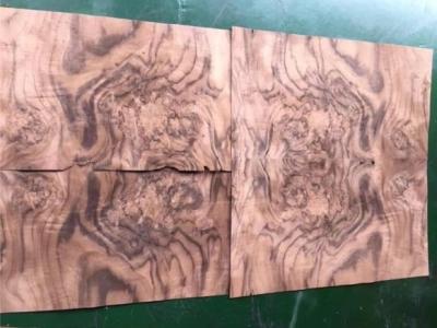 China 0.6mm Good Quality Walnut Burl Veneer for Furniture/Cabinet usage for sale