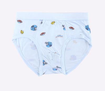 China Factory Soft Professional Stretchable Kids Underwear Teen Boy Briefs for sale