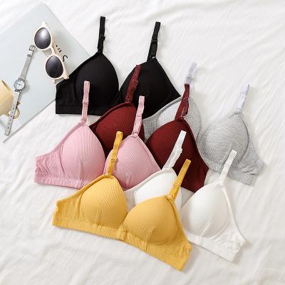 China 2020 Antibacterial Seamless Women Bra Ladies Fashion Daily Wear Bras for sale