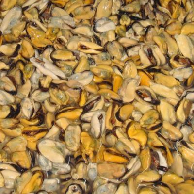 China FROZEN frozen cooked green mussel meat for sale